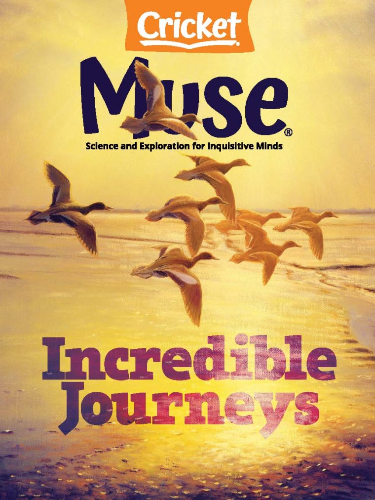 Muse[美国] True PDF缪斯青少年科普杂志 2023.03-易外刊-英语外刊杂志电子版PDF下载网站