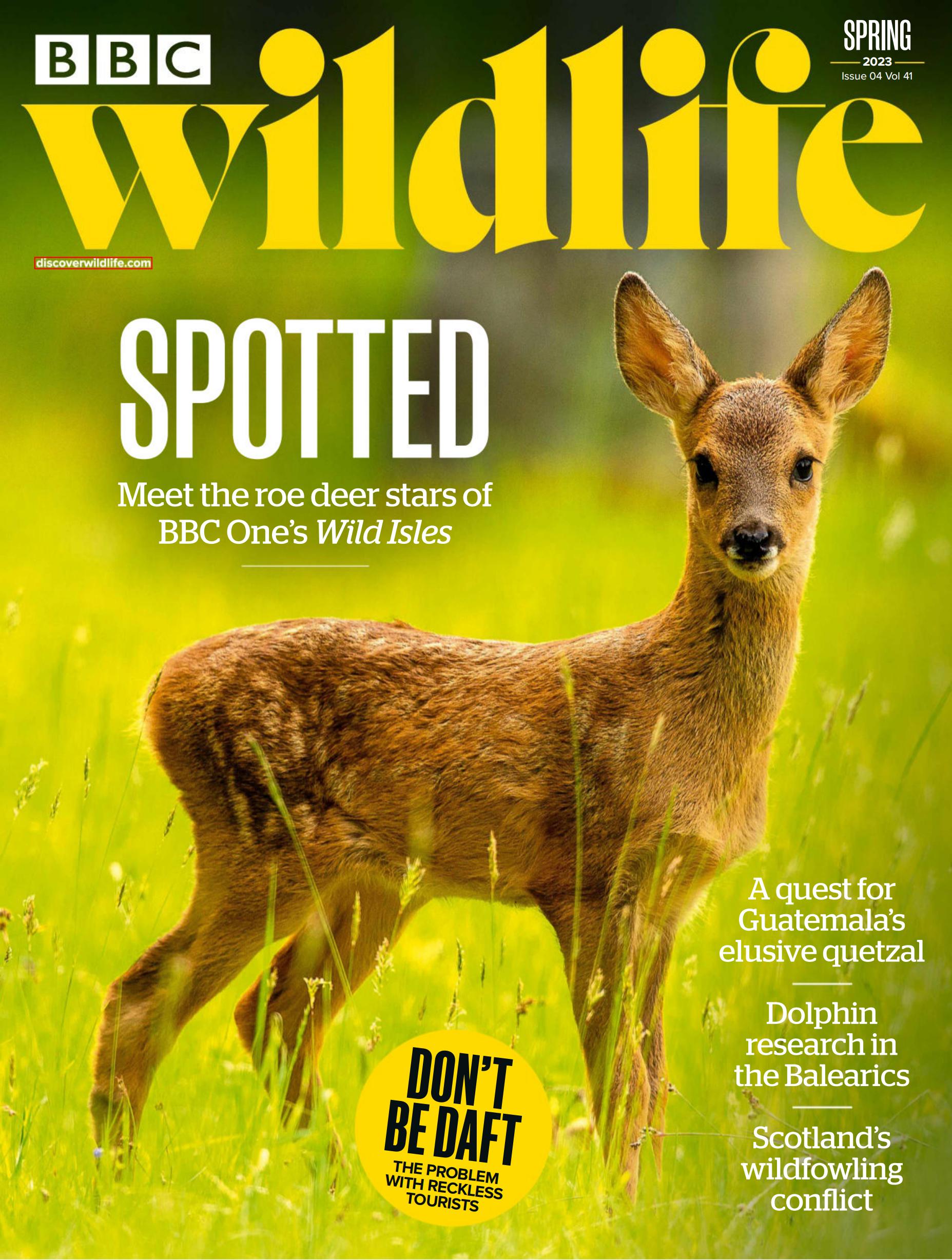 BBC Wildlife Spring[英国]野生动物杂志2023年春季刊下载电子版pdf订阅-易外刊-英语外刊杂志电子版PDF下载网站