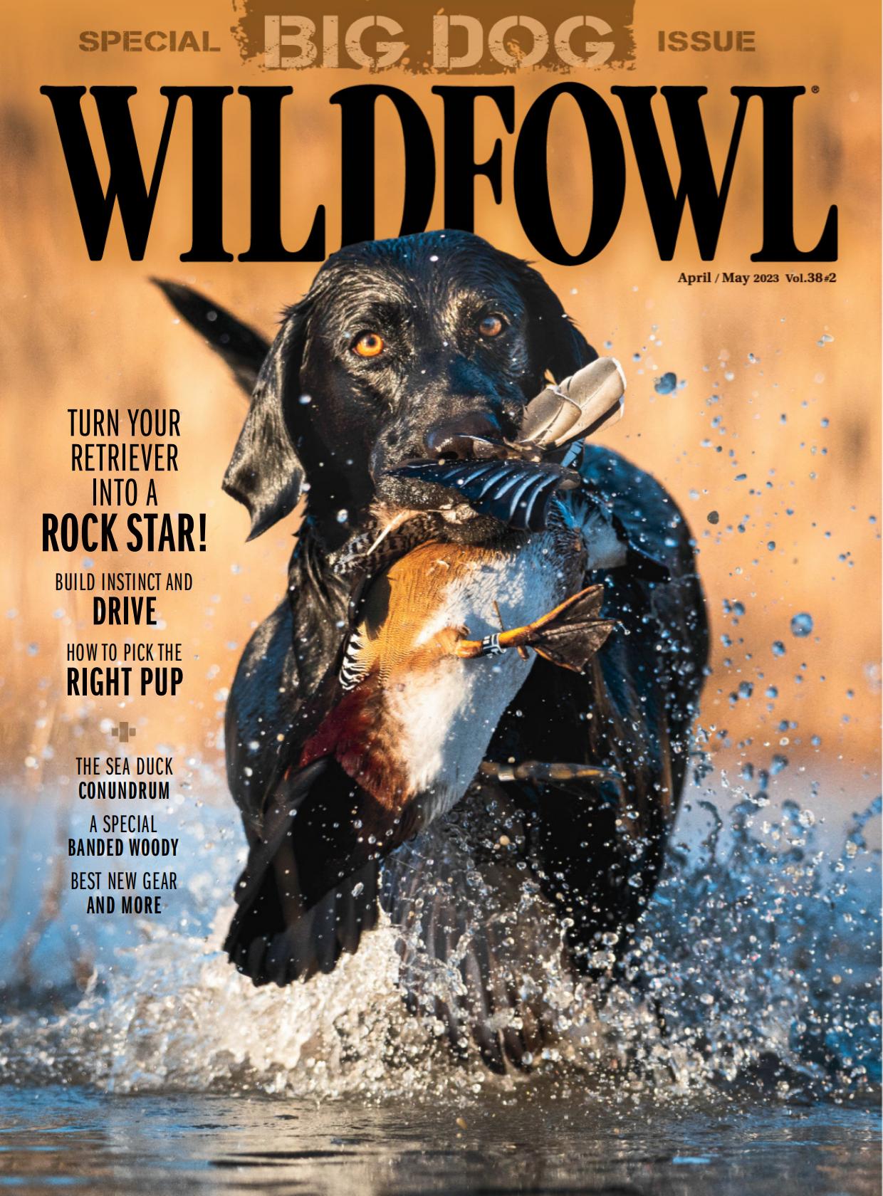 Wildfowl野禽 PDF 2023.04-易外刊-英语外刊杂志电子版PDF下载网站