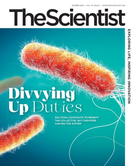 The Scientist Summer 2023-科学家杂志夏季刊下载电子版pdf订阅-易外刊-英语外刊杂志电子版PDF下载网站