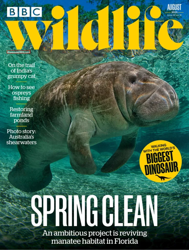 BBC Wildlife-野生动物杂志下载2023.08月刊电子版pdf订阅[英国]-易外刊-英语外刊杂志电子版PDF下载网站