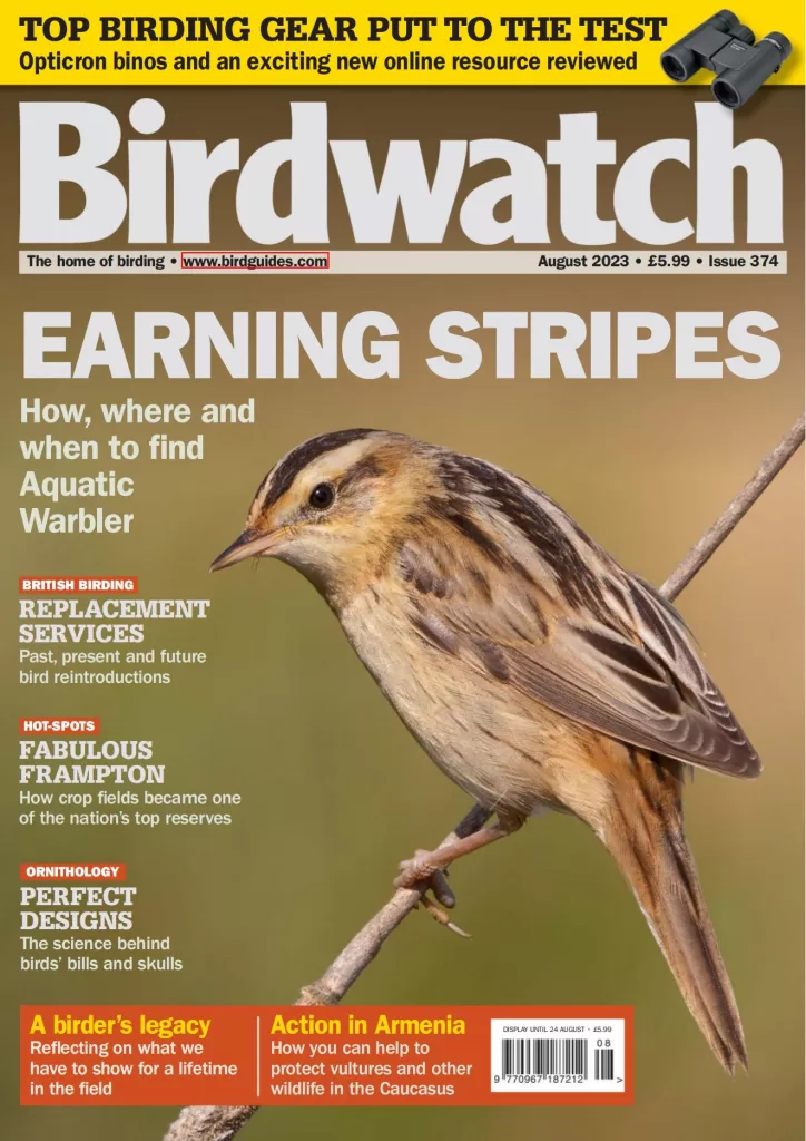 Birdwatch[英国]鸟类观察杂志下载2023.08月刊电子版pdf网盘订阅-易外刊-英语外刊杂志电子版PDF下载网站