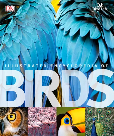 鸟类图解百科全书-The Illustrated Encyclopedia Of Birds By DK-易外刊-英语外刊杂志电子版PDF下载网站