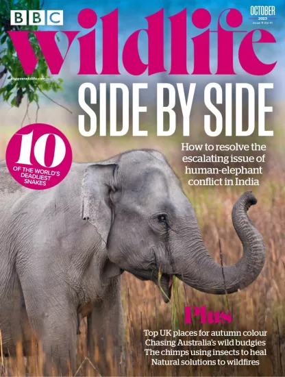 BBC Wildlife-野生动物杂志2023.10月刊下载PDF电子版网盘订阅-易外刊-英语外刊杂志电子版PDF下载网站