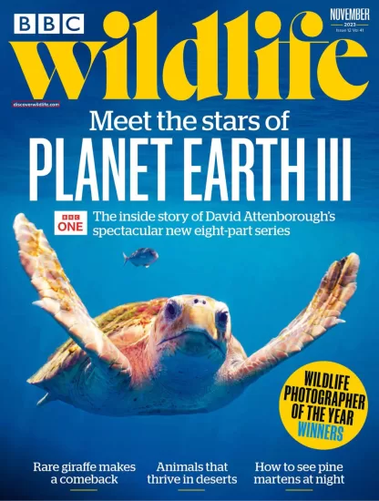 BBC Wildlife-野生动物杂志2023.11月刊下载PDF电子版网盘订阅-易外刊-英语外刊杂志电子版PDF下载网站