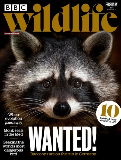 BBC Wildlife-野生动物杂志2024.02月号下载PDF电子版网盘订阅-易外刊-英语外刊杂志电子版PDF下载网站