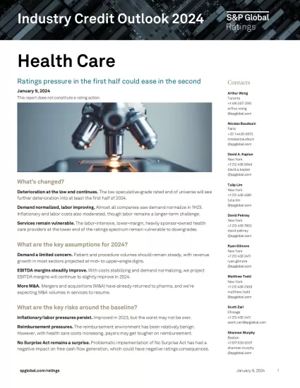【标普】2024年行业信用展望：医疗保健-Health Care-易外刊-英语外刊杂志电子版PDF下载网站