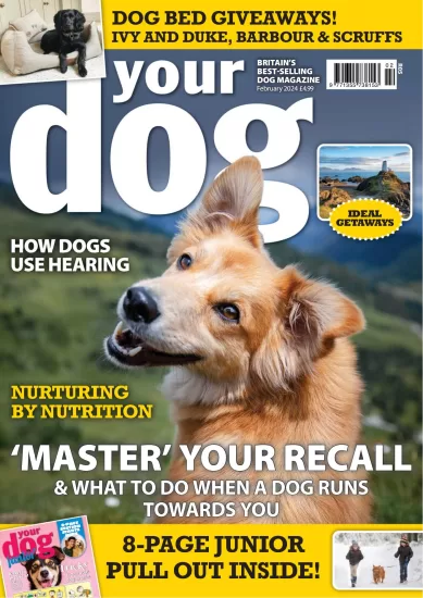 Your Dog-你的狗杂志2024.02月号下载PDF电子版网盘订阅-易外刊-英语外刊杂志电子版PDF下载网站