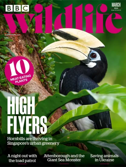 BBC Wildlife-野生动物杂志2024.03月号下载PDF电子版网盘订阅-易外刊-英语外刊杂志电子版PDF下载网站