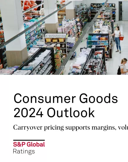 【标普】2024年消费品展望-Consumer Goods 2024 Outlook-易外刊-英语外刊杂志电子版PDF下载网站