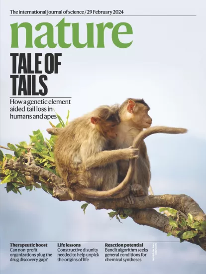 Nature-自然杂志2024.02.29期下载PDF电子版网盘订阅-易外刊-英语外刊杂志电子版PDF下载网站