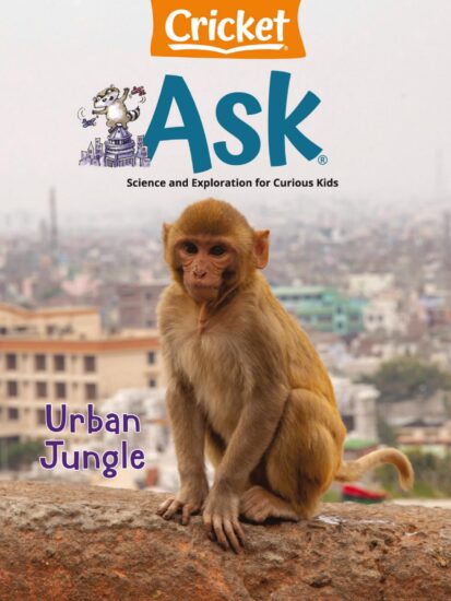 Ask-千奇百问2024.05&06月号下载PDF电子版儿童杂志网盘订阅-易外刊-英语外刊杂志电子版PDF下载网站
