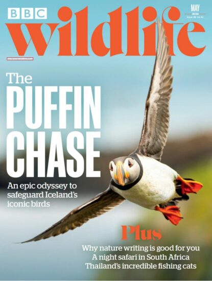 BBC Wildlife-野生动物2024.05月号下载PDF电子版网盘杂志订阅-易外刊-英语外刊杂志电子版PDF下载网站