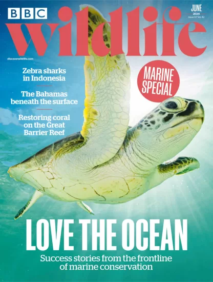 BBC Wildlife-野生动物2024.06月号下载PDF电子版网盘杂志订阅-易外刊-英语外刊杂志电子版PDF下载网站