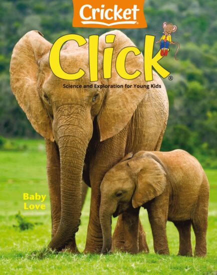 Click-点击世界2024.05&06月号下载电子版PDF儿童杂志网盘订阅-易外刊-英语外刊杂志电子版PDF下载网站