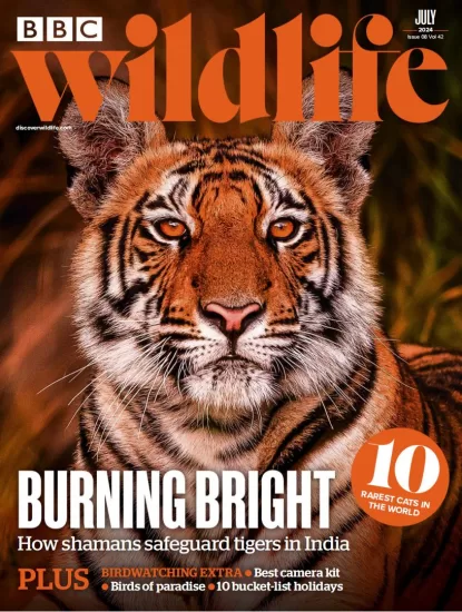 BBC Wildlife-野生动物2024.07月号下载PDF电子版网盘杂志订阅-易外刊-英语外刊杂志电子版PDF下载网站