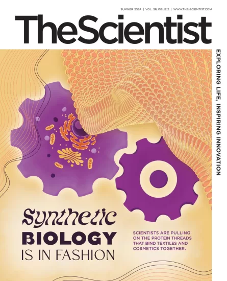 The Scientist-科学家杂志2024年夏季刊下载电子版PDF网盘订阅-易外刊-英语外刊杂志电子版PDF下载网站