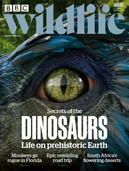 BBC Wildlife-野生动物2024.08月号下载PDF电子版网盘杂志订阅-易外刊-英语外刊杂志电子版PDF下载网站