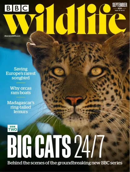 BBC Wildlife-野生动物2024.09月号下载PDF电子版网盘杂志订阅-易外刊-英语外刊杂志电子版PDF下载网站