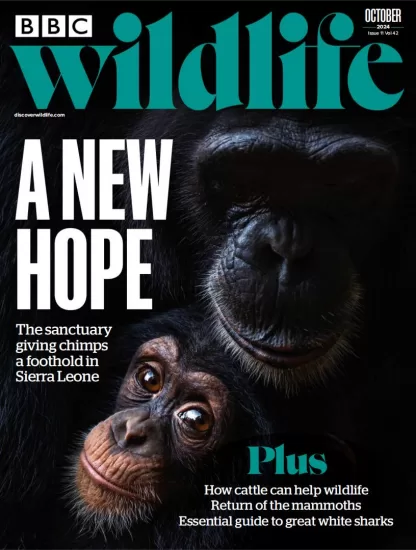 BBC Wildlife-野生动物2024.10月号下载PDF电子版网盘杂志订阅-易外刊-英语外刊杂志电子版PDF下载网站