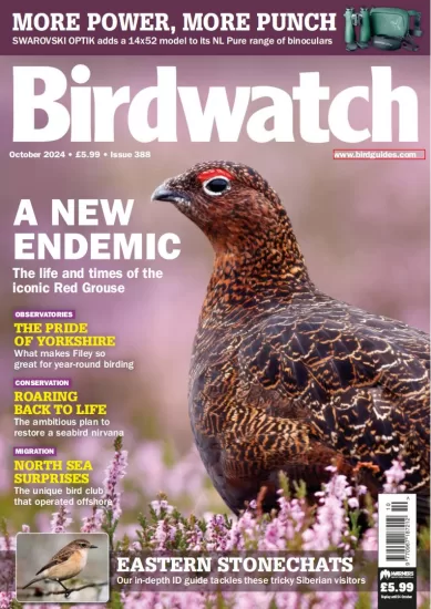 Birdwatch UK-英国观鸟杂志2024.10月号下载PDF电子版网盘订阅-易外刊-英语外刊杂志电子版PDF下载网站