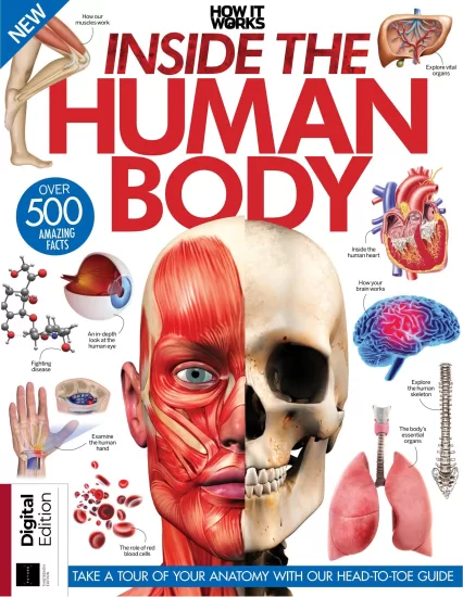 How It Works – Inside The Human Body, 13th Edition 2024-它是如何工作的：人体内部，第13版2024-易外刊-英语外刊杂志电子版PDF下载网站