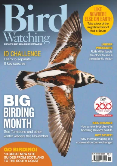 Bird Watching UK-英国观鸟2024.11月号下载订阅-易外刊-英语外刊杂志电子版PDF下载网站