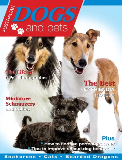 Dogs and Pets – Issue 7, 2024-易外刊-英语外刊杂志电子版PDF下载网站