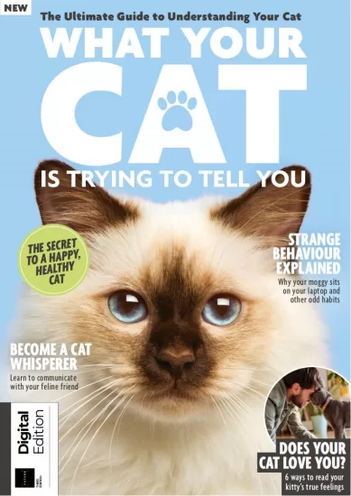 What Your Cat is Trying to Tell You – 3rd Edition, 2024 你的猫想告诉你什么 – 第 3 版，2024-易外刊-英语外刊杂志电子版PDF下载网站