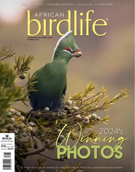 African Birdlife-非洲鸟类生活2024.11&12月号下载订阅-易外刊-英语外刊杂志电子版PDF下载网站