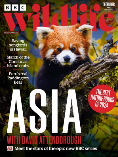 BBC Wildlife-野生动物2024.12月号下载PDF电子版网盘杂志订阅-易外刊-英语外刊杂志电子版PDF下载网站