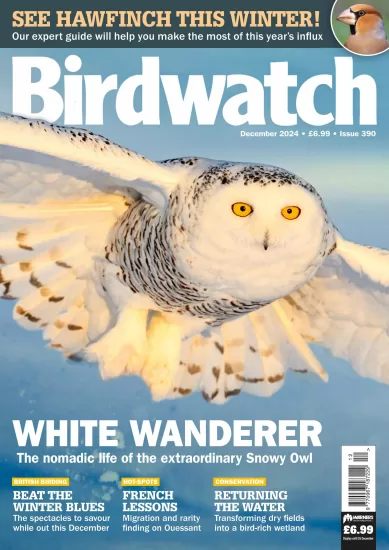 Birdwatch UK-英国观鸟杂志2024.12月号下载PDF电子版网盘订阅-易外刊-英语外刊杂志电子版PDF下载网站