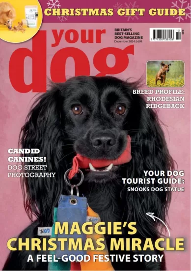 Your Dog-你的狗2024.12月号下载PDF电子版网盘杂志订阅-易外刊-英语外刊杂志电子版PDF下载网站