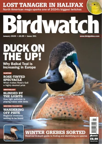 Birdwatch UK-英国观鸟杂志2025.01月号下载订阅-易外刊-英语外刊杂志电子版PDF下载网站