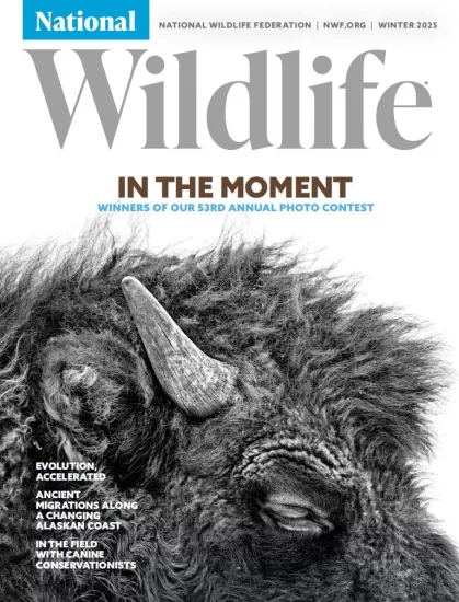 National Wildlife – Winter 2024 国家野生动物 – 冬季 2024-易外刊-英语外刊杂志电子版PDF下载网站