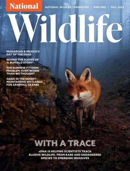 National Wildlife – Fall 2024 国家野生动物 – 秋季刊 2024-易外刊-英语外刊杂志电子版PDF下载网站