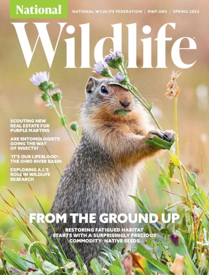 National Wildlife – Spring 2024 国家野生动物 – 春季刊 2024-易外刊-英语外刊杂志电子版PDF下载网站