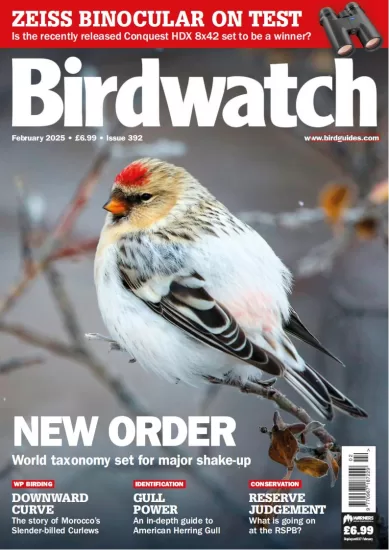 Birdwatch UK-英国观鸟杂志2025.02月号下载订阅-易外刊-英语外刊杂志电子版PDF下载网站