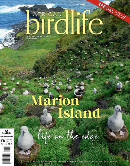 African Birdlife-非洲鸟类生活2025.01&02月号-易外刊-英语外刊杂志电子版PDF下载网站