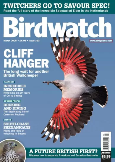 Birdwatch UK-英国观鸟杂志2025.03月号下载订阅-易外刊-英语外刊杂志电子版PDF下载网站