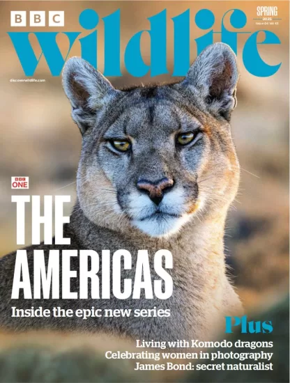 BBC Wildlife-野生动物2025年春季刊下载PDF电子版网盘杂志订阅-易外刊-英语外刊杂志电子版PDF下载网站