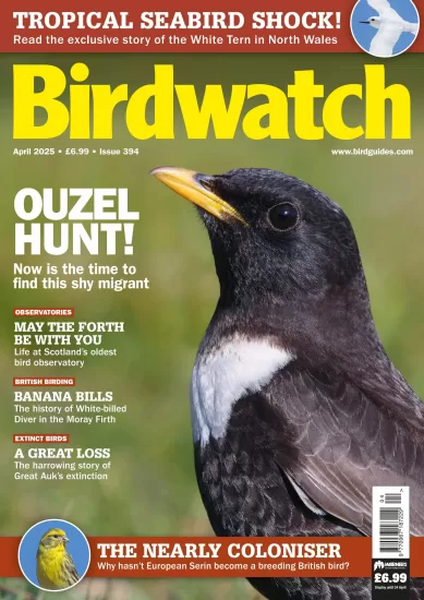 Birdwatch UK-英国观鸟杂志2025.04月号下载订阅-易外刊-英语外刊杂志电子版PDF下载网站