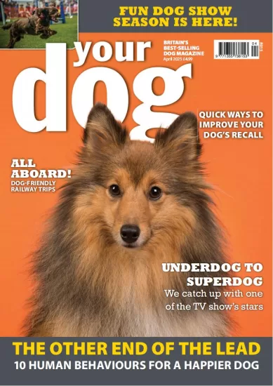 Your Dog-你的狗2025.04月号下载PDF电子版网盘杂志订阅-易外刊-英语外刊杂志电子版PDF下载网站