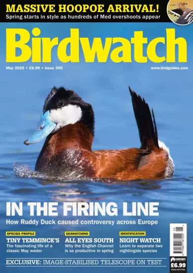 Birdwatch UK-英国观鸟杂志2025.05月号下载订阅-易外刊-英语外刊杂志电子版PDF下载网站