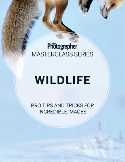 Digital Photographer Masterclass Series – Wildlife 2025 数码摄影师大师班系列 - 野生动物 2025-易外刊-英语外刊杂志电子版PDF下载网站
