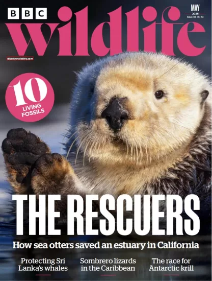BBC Wildlife-野生动物2025.05月号下载PDF电子版网盘杂志订阅-易外刊-英语外刊杂志电子版PDF下载网站