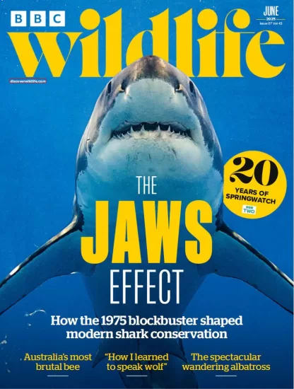BBC Wildlife-野生动物2025.06月号下载PDF电子版网盘杂志订阅-易外刊-英语外刊杂志电子版PDF下载网站