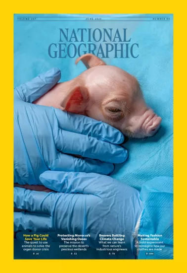 National Geographic UK-国家地理2025.06月号下载PDF电子版网盘杂志订阅-易外刊-英语外刊杂志电子版PDF下载网站