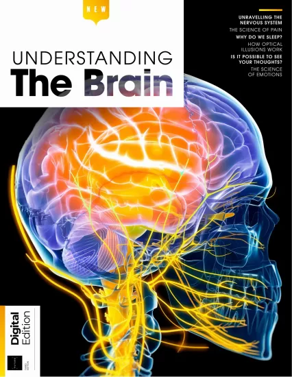 Understanding The Brain - 3rd Edition 2025 理解大脑 - 第3版 2025-易外刊-英语外刊杂志电子版PDF下载网站