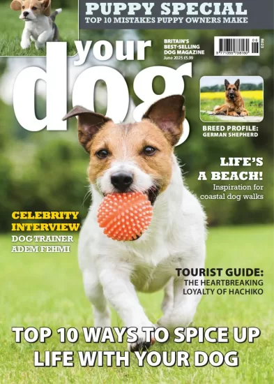 Your Dog-你的狗2025.06月号下载PDF电子版网盘杂志订阅-易外刊-英语外刊杂志电子版PDF下载网站